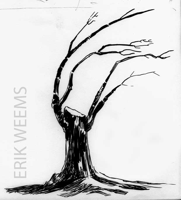 Archilochus Tree - SB48 - 2003 Erik Weems