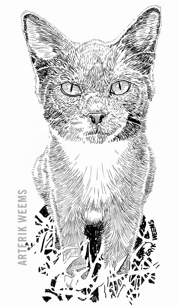 Grey the Cat - art by Erik Weems