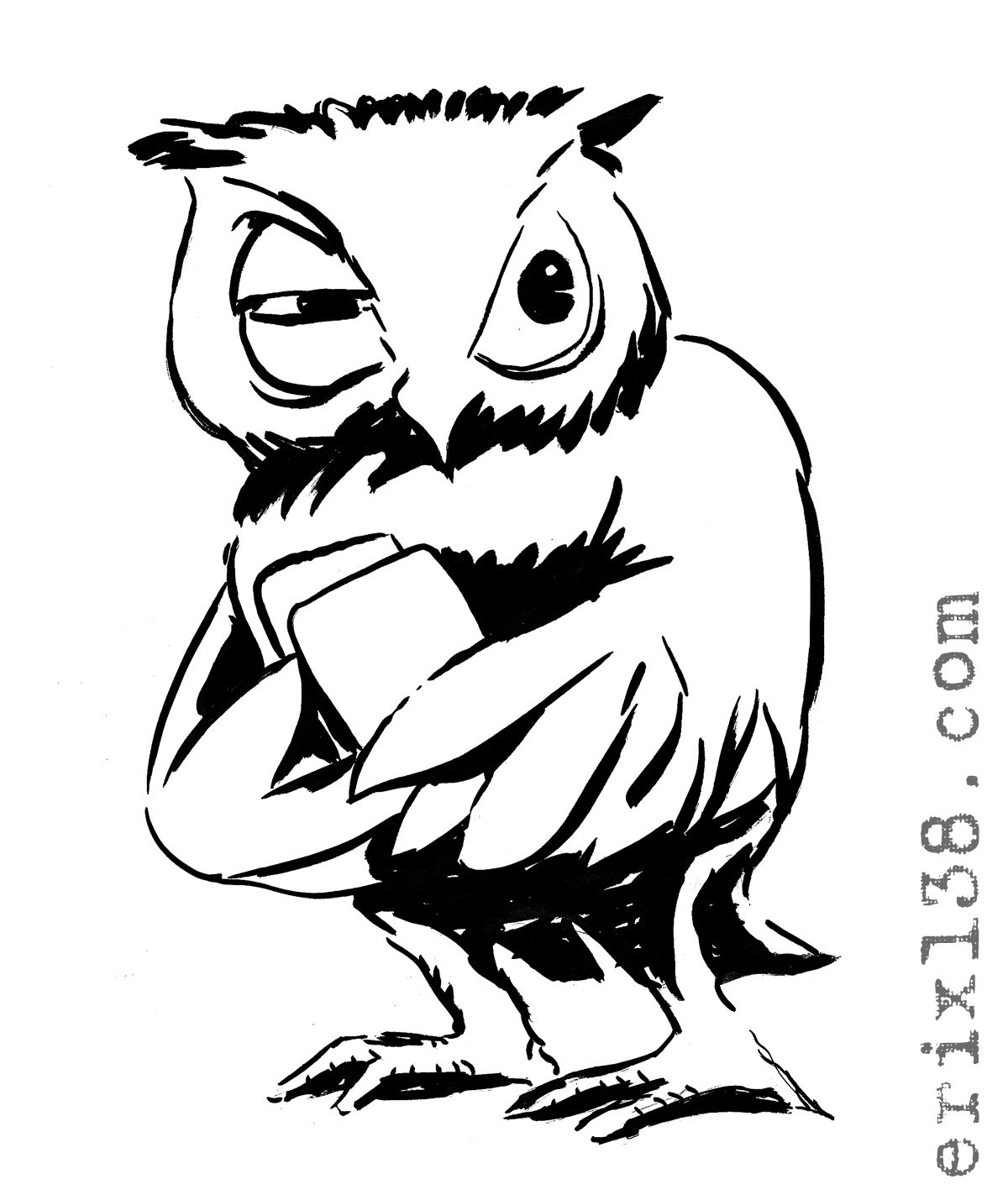 cartoon-owl.jpg